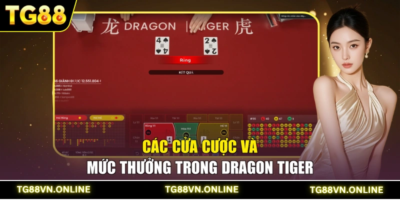 Các cửa cược và mức thưởng trong Dragon Tiger