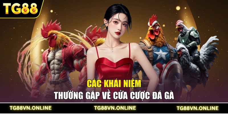 Các khái niệm thường gặp về cửa cược đá gà