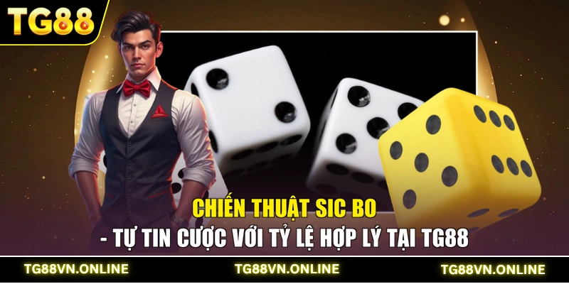 Chiến Thuật Sic Bo - Tự Tin Cược Với Tỷ Lệ Hợp Lý Tại TG88