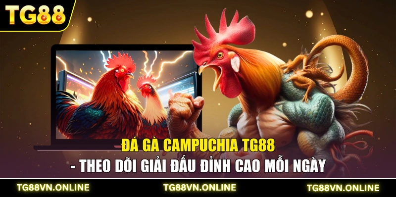 Đá Gà Campuchia TG88 - Theo Dõi Giải Đấu Đỉnh Cao Mỗi Ngày