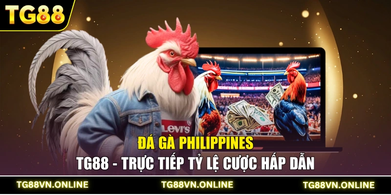Đá Gà Philippines TG88 - Trực Tiếp Tỷ Lệ Cược Hấp Dẫn