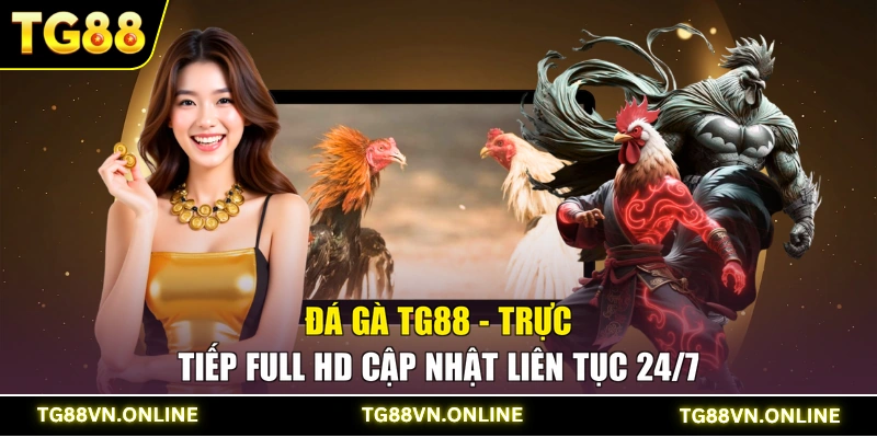 Đá Gà TG88 - Trực Tiếp Full Hd Cập Nhật Liên Tục 24/7
