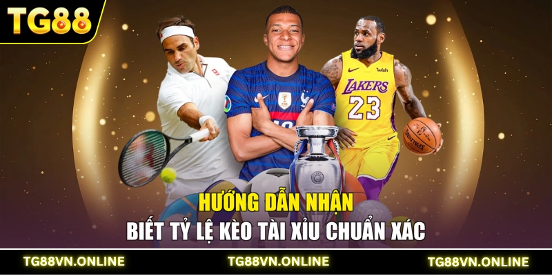 Hướng dẫn nhận biết tỷ lệ kèo tài xỉu chuẩn xác