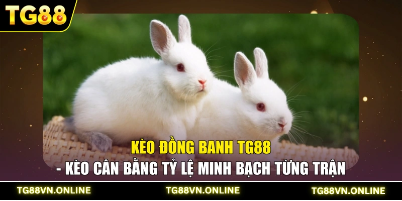 Kèo Đồng Banh TG88 - Kèo Cân Bằng Tỷ Lệ Minh Bạch Từng Trận