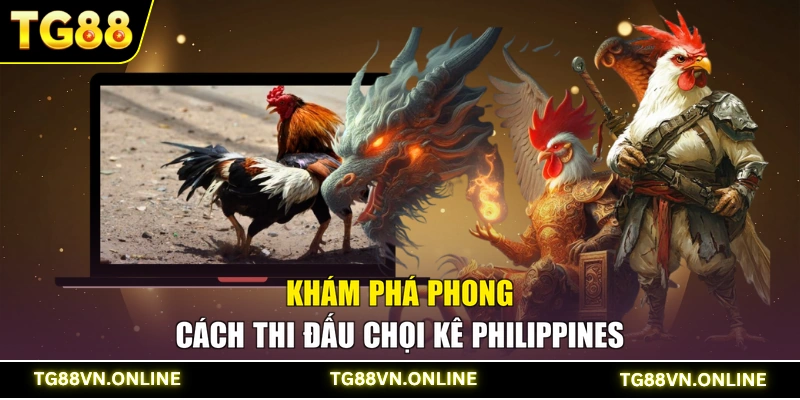Khám phá phong cách thi đấu chọi kê Philippines