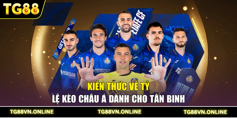 Kiến thức về tỷ lệ kèo châu Á dành cho tân binh