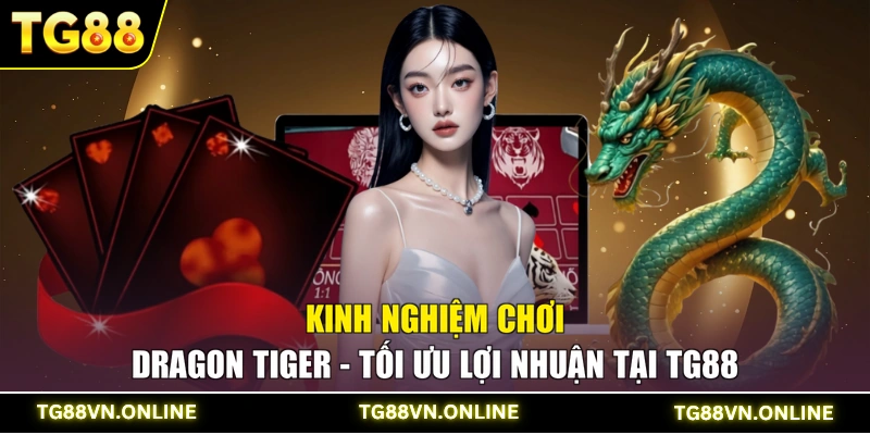 Kinh Nghiệm Chơi Dragon Tiger - Tối Ưu Lợi Nhuận Tại TG88