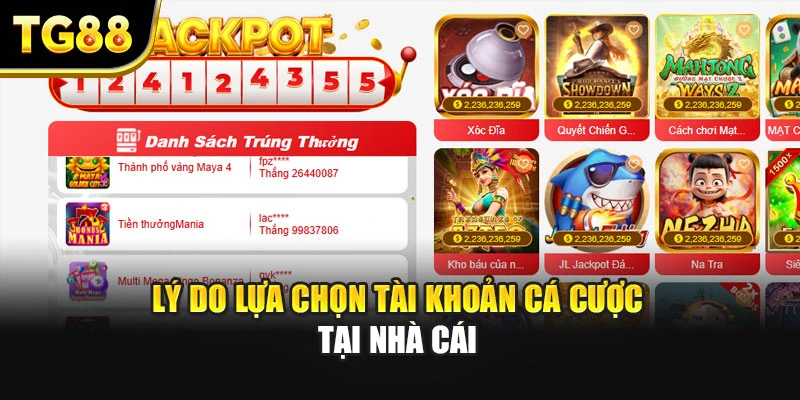 Lý do lựa chọn tài khoản cá cược tại nhà cái