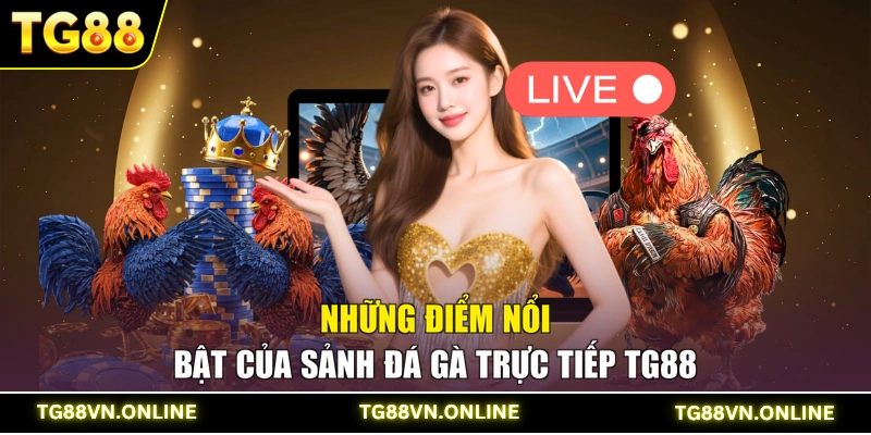 Những điểm nổi bật của sảnh đá gà trực tiếp TG88