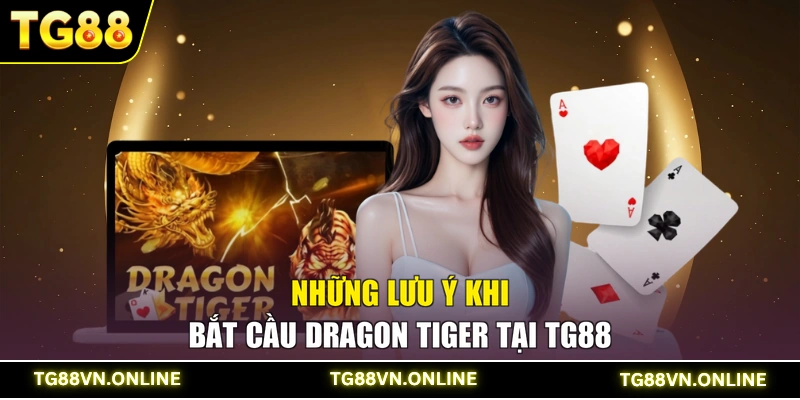 Những lưu ý khi bắt cầu Dragon Tiger tại TG88