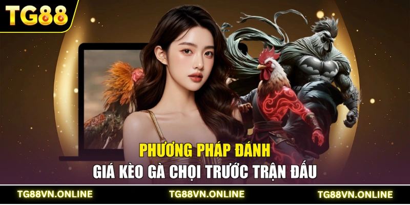 Phương pháp đánh giá kèo gà chọi trước trận đấu