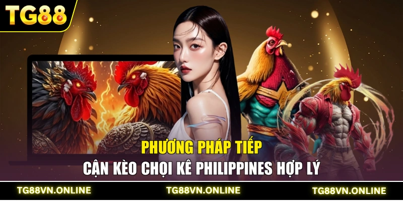 Phương pháp tiếp cận kèo chọi kê Philippines hợp lý