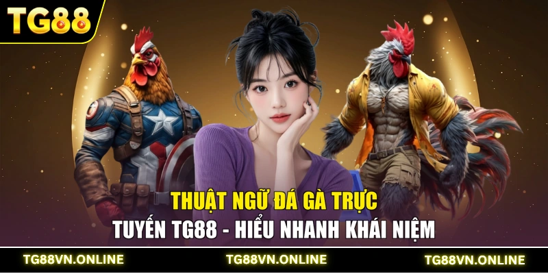 Thuật Ngữ Đá Gà Trực Tuyến TG88 - Hiểu Nhanh Khái Niệm