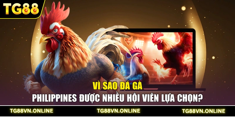 Vì sao đá gà Philippines được nhiều hội viên lựa chọn?