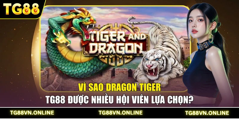 Vì sao Dragon Tiger TG88 được nhiều hội viên lựa chọn?